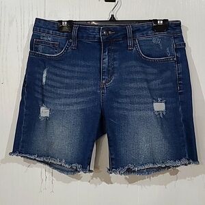 Joe's Jeans Distressed Denim Jean Shorts